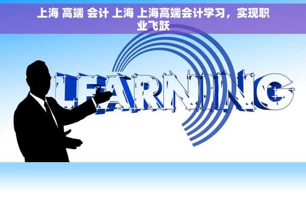上海 高端 会计 上海 上海高端会计学习，实现职业飞跃