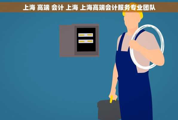 上海 高端 会计 上海 上海高端会计服务专业团队