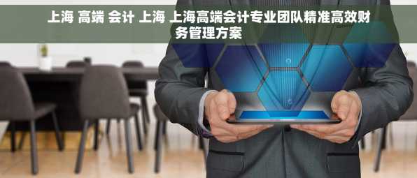 上海 高端 会计 上海 上海高端会计专业团队精准高效财务管理方案