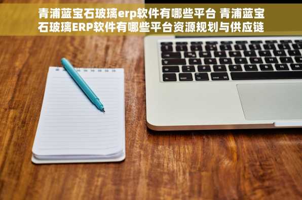 青浦蓝宝石玻璃erp软件有哪些平台 青浦蓝宝石玻璃ERP软件有哪些平台资源规划与供应链管理ERP平台