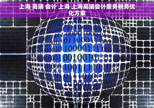 上海 高端 会计 上海 上海高端会计服务税务优化方案