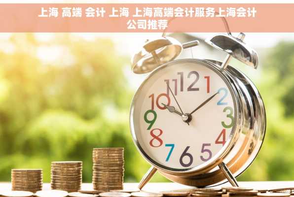 上海 高端 会计 上海 上海高端会计服务上海会计公司推荐