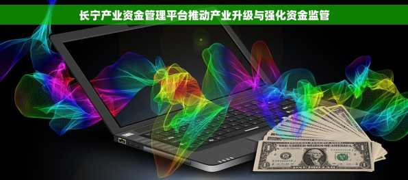 长宁产业资金管理平台推动产业升级与强化资金监管