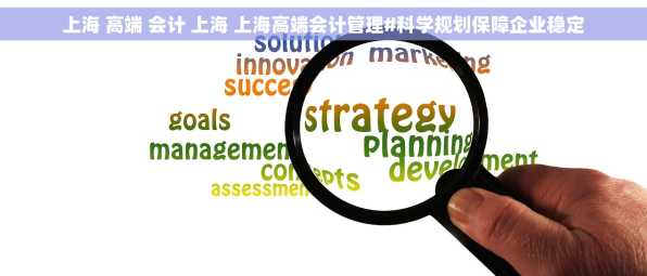 上海 高端 会计 上海 上海高端会计管理#科学规划保障企业稳定