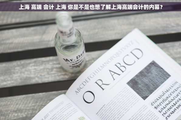 上海 高端 会计 上海 你是不是也想了解上海高端会计的内幕？
