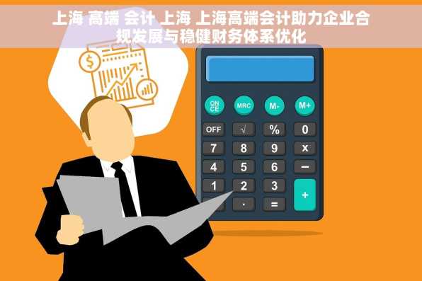 上海 高端 会计 上海 上海高端会计助力企业合规发展与稳健财务体系优化