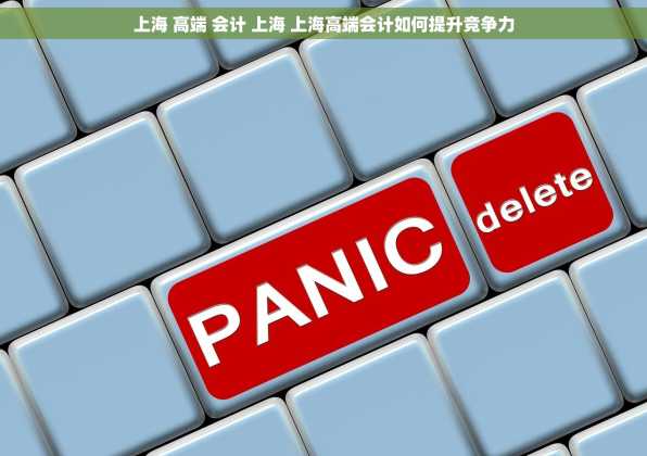 上海 高端 会计 上海 上海高端会计如何提升竞争力