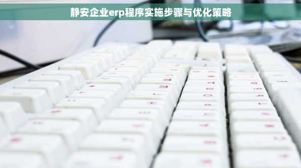 静安企业erp程序实施步骤与优化策略
