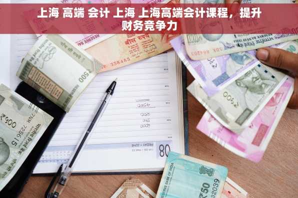 上海 高端 会计 上海 上海高端会计课程，提升财务竞争力