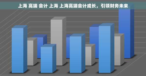 上海 高端 会计 上海 上海高端会计成长，引领财务未来