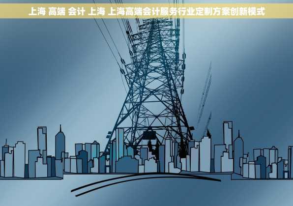 上海 高端 会计 上海 上海高端会计服务行业定制方案创新模式