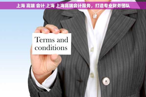 上海 高端 会计 上海 上海高端会计服务，打造专业财务团队