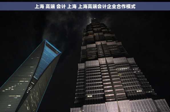 上海 高端 会计 上海 上海高端会计企业合作模式
