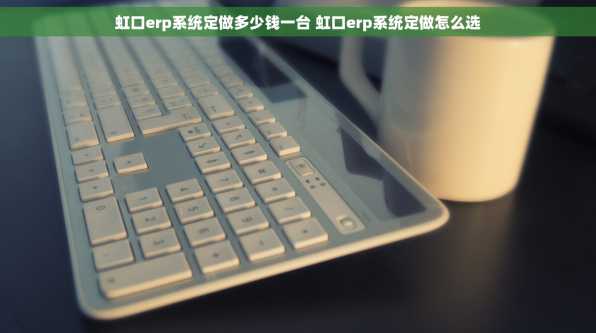 虹口erp系统定做多少钱一台 虹口erp系统定做怎么选