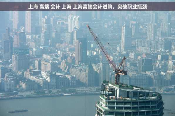 上海 高端 会计 上海 上海高端会计进阶，突破职业瓶颈