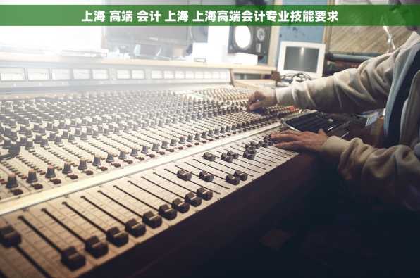 上海 高端 会计 上海 上海高端会计专业技能要求
