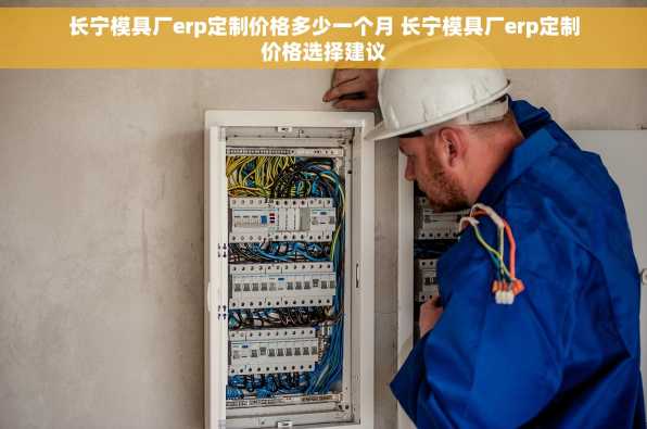 长宁模具厂erp定制价格多少一个月 长宁模具厂erp定制价格选择建议