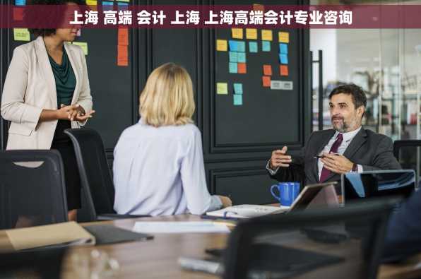 上海 高端 会计 上海 上海高端会计专业咨询