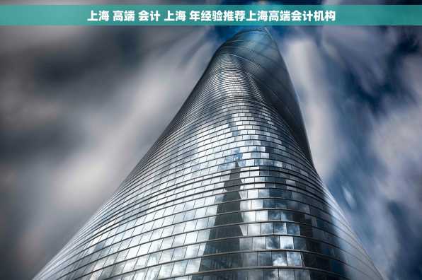 上海 高端 会计 上海 年经验推荐上海高端会计机构
