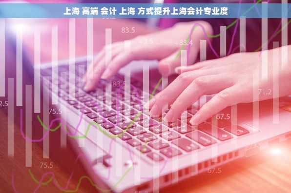 上海 高端 会计 上海 方式提升上海会计专业度