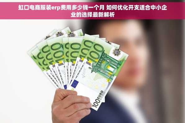 虹口电商服装erp费用多少钱一个月 如何优化开支适合中小企业的选择最新解析