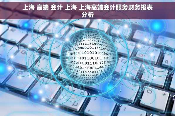 上海 高端 会计 上海 上海高端会计服务财务报表分析