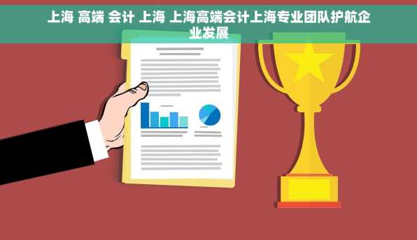 上海 高端 会计 上海 上海高端会计上海专业团队护航企业发展