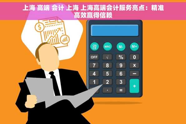 上海 高端 会计 上海 上海高端会计服务亮点：精准高效赢得信赖