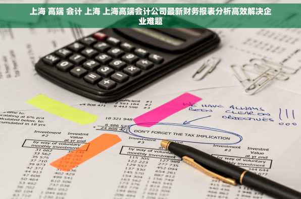 上海 高端 会计 上海 上海高端会计公司最新财务报表分析高效解决企业难题