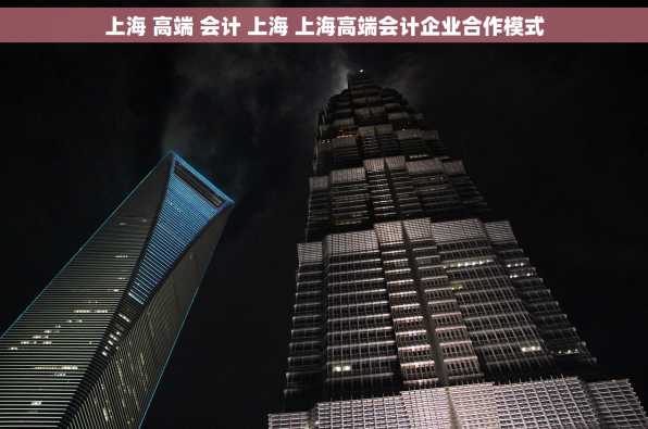 上海 高端 会计 上海 上海高端会计企业合作模式