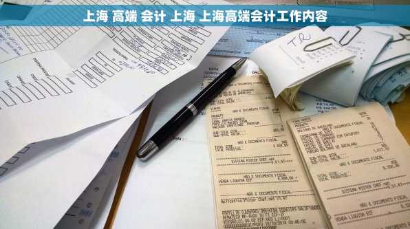 上海 高端 会计 上海 上海高端会计工作内容