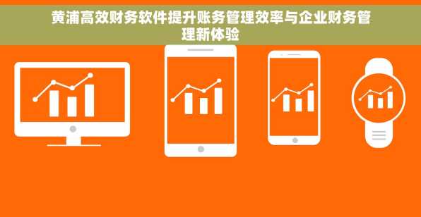 黄浦高效财务软件提升账务管理效率与企业财务管理新体验