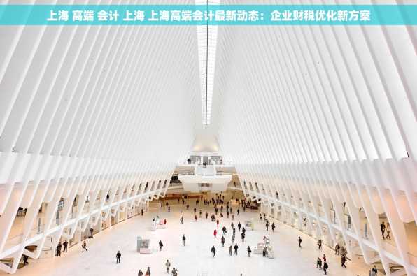 上海 高端 会计 上海 上海高端会计最新动态：企业财税优化新方案