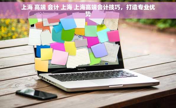 上海 高端 会计 上海 上海高端会计技巧，打造专业优势
