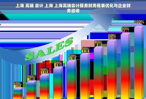 上海 高端 会计 上海 上海高端会计服务财务报表优化与企业财务咨询