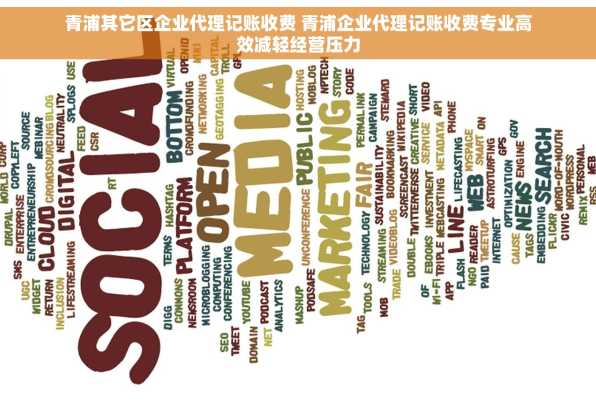 青浦其它区企业代理记账收费 青浦企业代理记账收费专业高效减轻经营压力