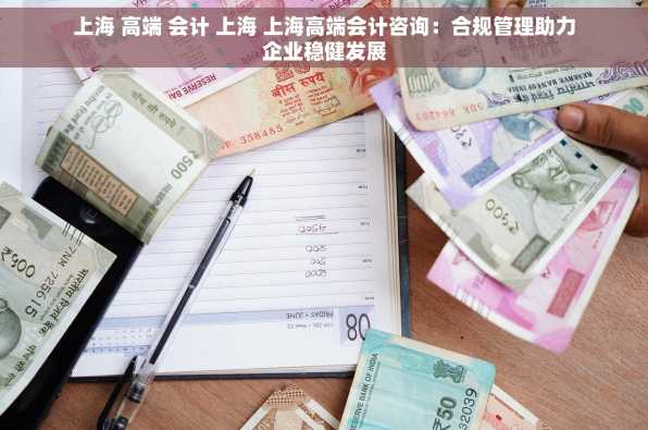 上海 高端 会计 上海 上海高端会计咨询：合规管理助力企业稳健发展