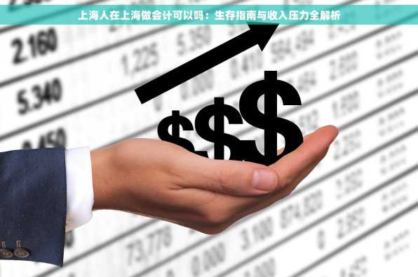 上海人在上海做会计可以吗：生存指南与收入压力全解析