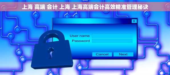 上海 高端 会计 上海 上海高端会计高效精准管理秘诀