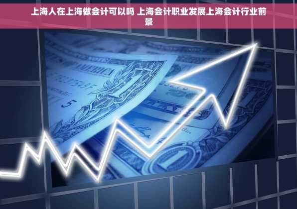上海人在上海做会计可以吗 上海会计职业发展上海会计行业前景