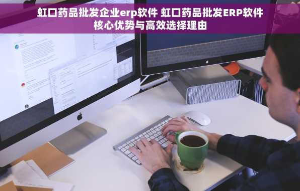 虹口药品批发企业erp软件 虹口药品批发ERP软件核心优势与高效选择理由