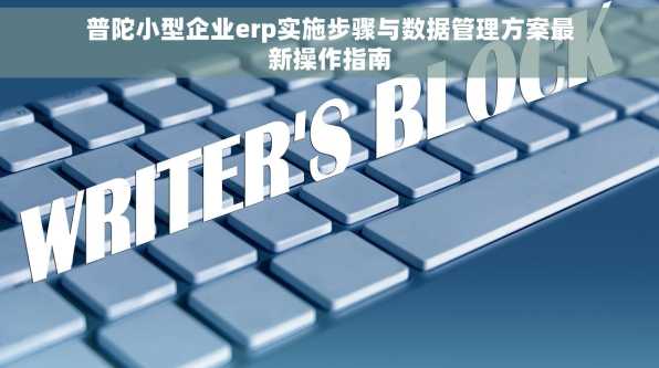 普陀小型企业erp实施步骤与数据管理方案最新操作指南