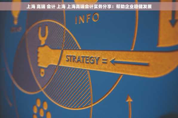上海 高端 会计 上海 上海高端会计实务分享：帮助企业稳健发展