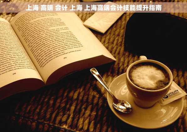 上海 高端 会计 上海 上海高端会计技能提升指南