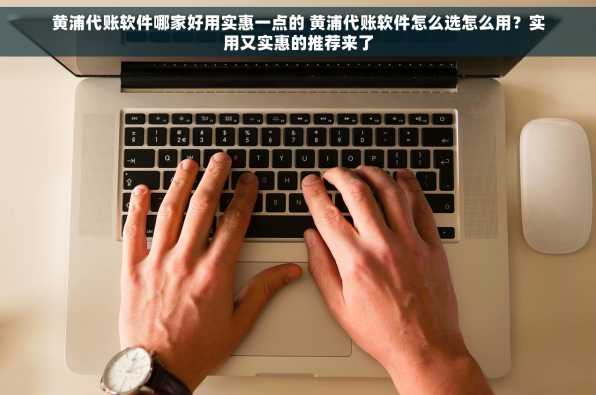黄浦代账软件哪家好用实惠一点的 黄浦代账软件怎么选怎么用？实用又实惠的推荐来了