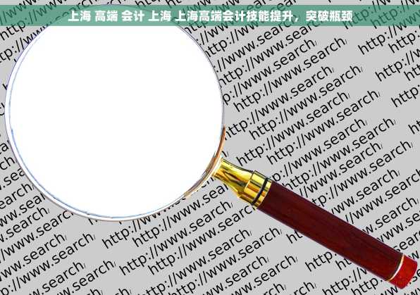上海 高端 会计 上海 上海高端会计技能提升，突破瓶颈