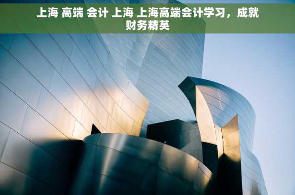 上海 高端 会计 上海 上海高端会计学习，成就财务精英