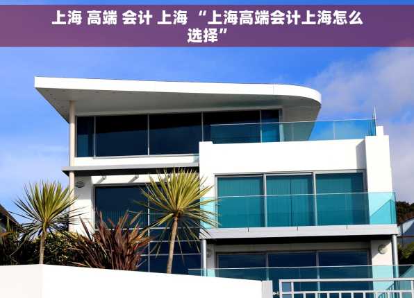 上海 高端 会计 上海 “上海高端会计上海怎么选择”