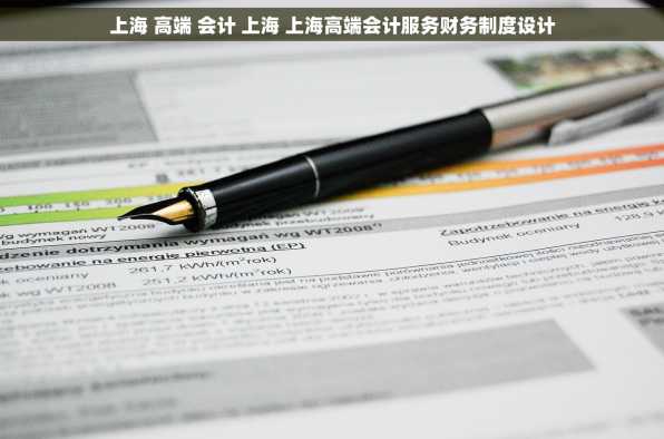 上海 高端 会计 上海 上海高端会计服务财务制度设计