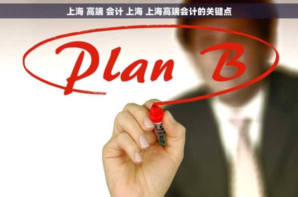 上海 高端 会计 上海 上海高端会计的关键点